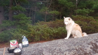 Atka-Great-Out-Door-Adventure-15