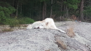 Atka-Great-Out-Door-Adventure-18