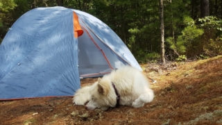 Atka-Great-Out-Door-Adventure-2