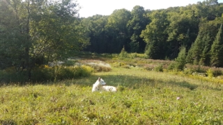 Atka-Great-Out-Door-Adventure-20