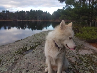 Atka-Great-Out-Door-Adventure-25