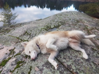 Atka-Great-Out-Door-Adventure-26