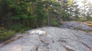 Atka-Great-Out-Door-Adventure-4