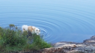 Atka-Great-Out-Door-Adventure-5