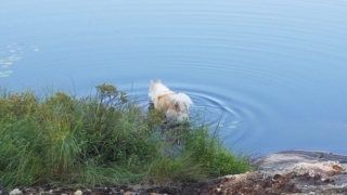 Atka-Great-Out-Door-Adventure-6